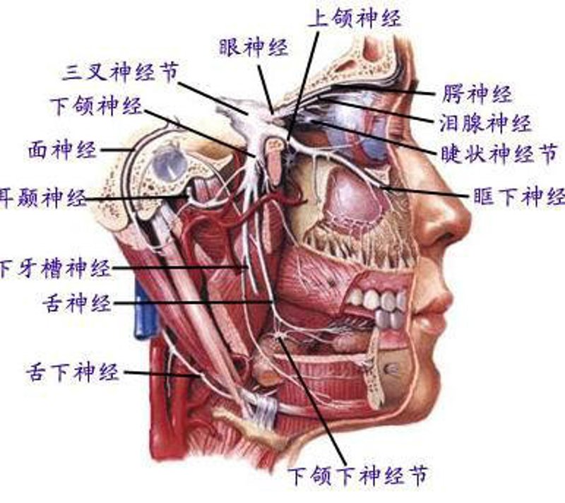 面对“面部神经疾病”，你是否感到困惑和无助？
