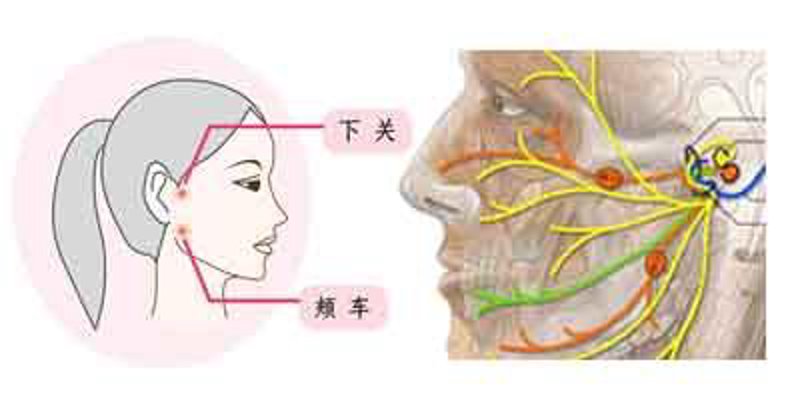 面神经炎:如何应对面部肌肉麻痹?